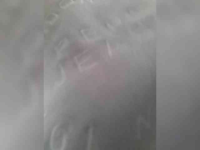 _LittleSammy