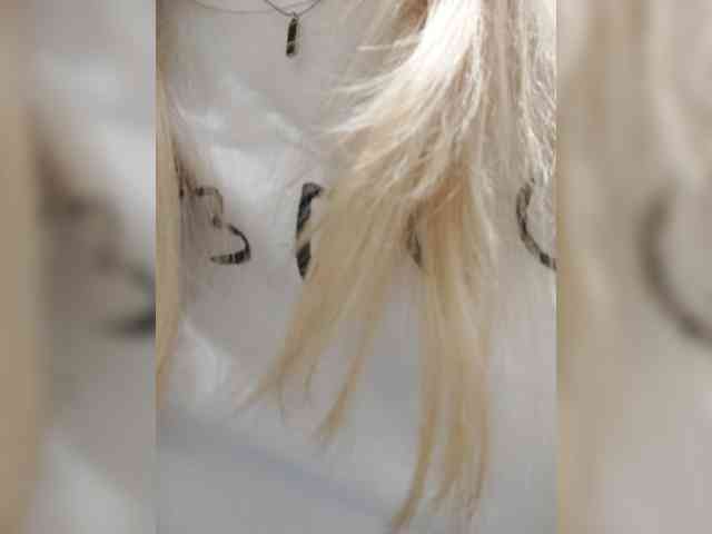 _LittleSammy webcam
