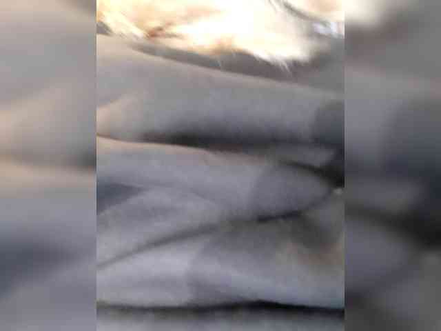 _LittleSammy webcam