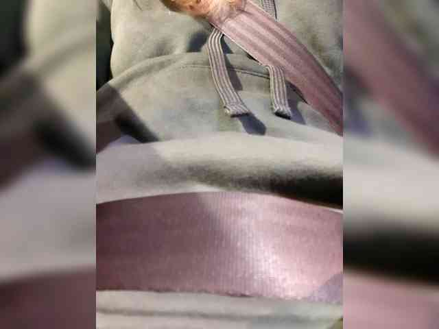 _LittleSammy webcam