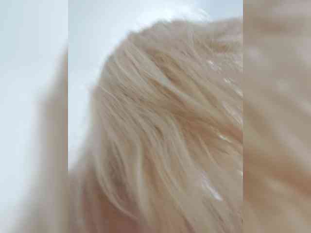 _LittleSammy webcam