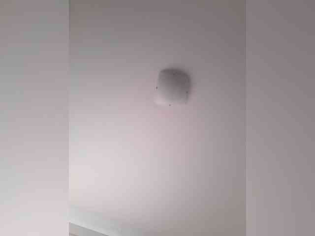 _LittleSammy