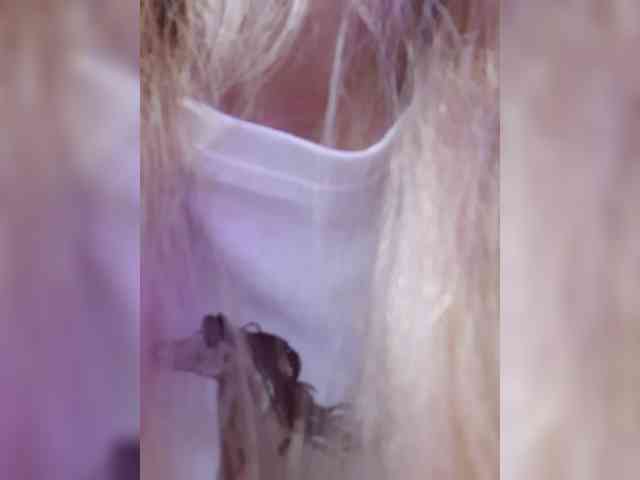 _LittleSammy webcam