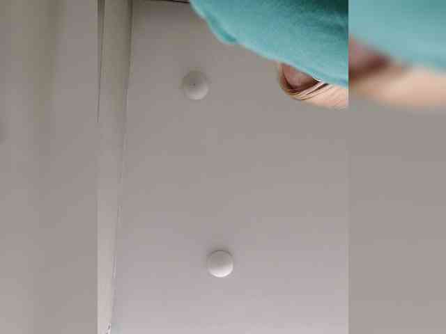 _LittleSammy webcam