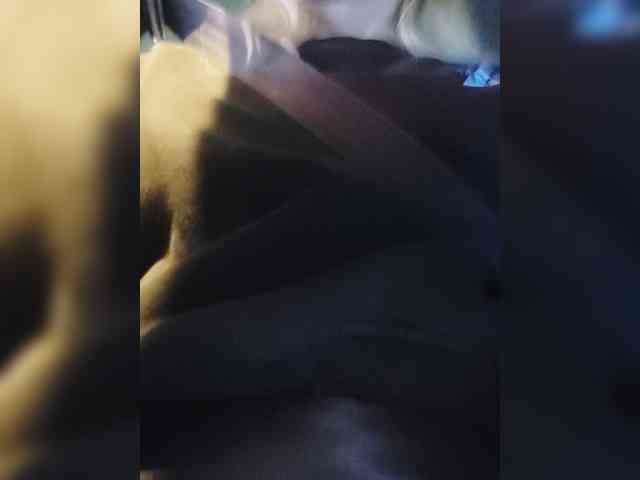 _LittleSammy webcam