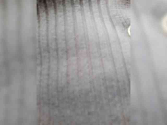_LittleSammy webcam