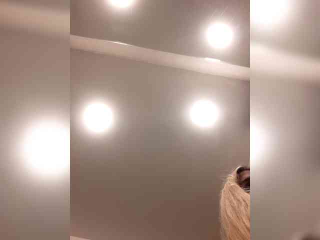 _LittleSammy webcam