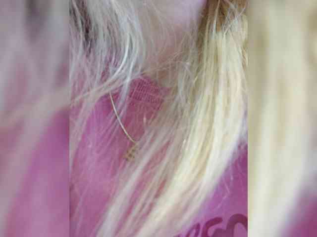 _LittleSammy webcam