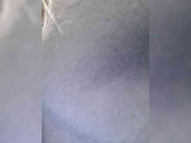 _LittleSammy webcam