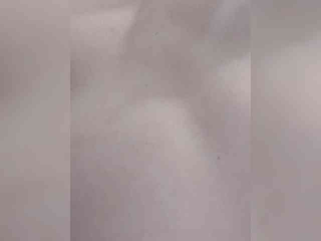 _LittleSammy webcam
