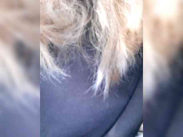Modelo: _LittleSammy