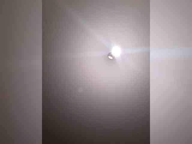 _LittleSammy webcam