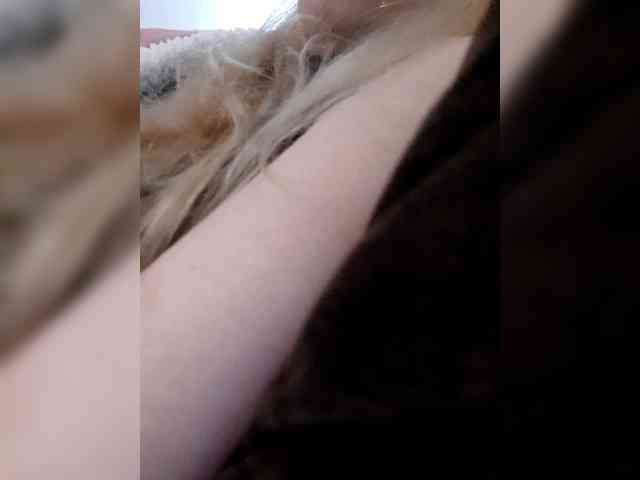 _LittleSammy