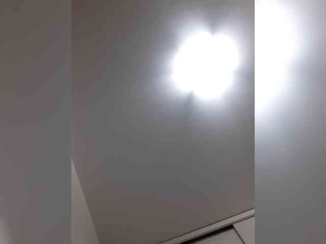 _LittleSammy