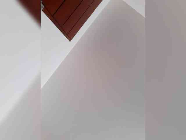 _LittleSammy webcam