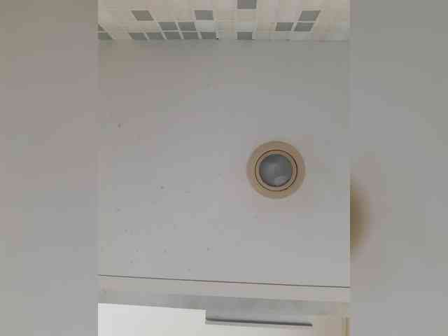 _LittleSammy webcam