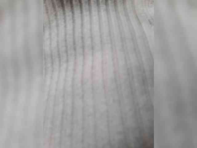 _LittleSammy