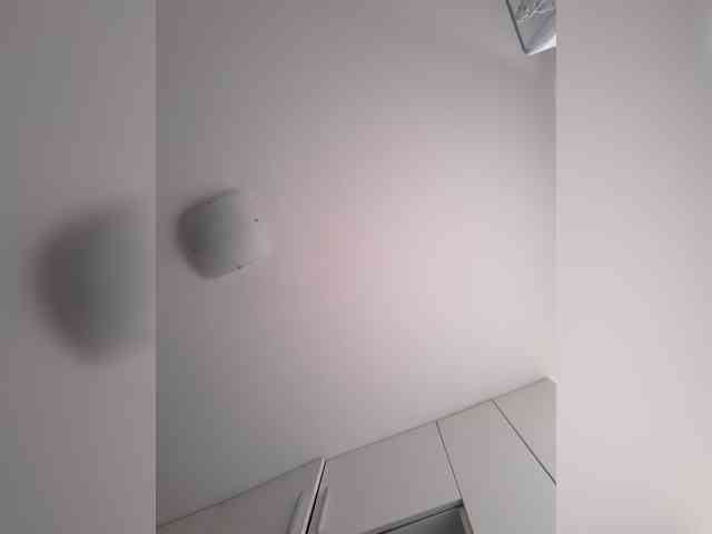 _LittleSammy webcam