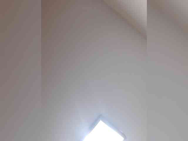 _LittleSammy webcam