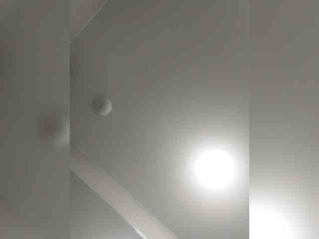 _LittleSammy webcam
