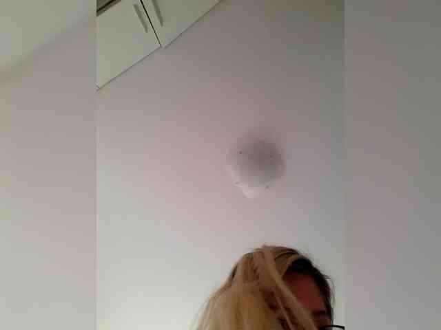 _LittleSammy webcam