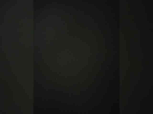 _LittleSammy webcam