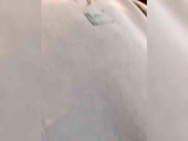 _LittleSammy webcam