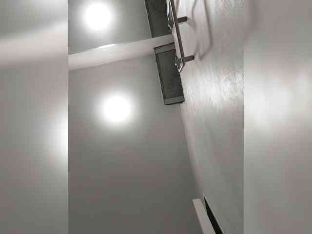 _LittleSammy webcam