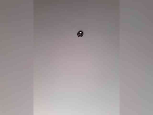 _LittleSammy webcam