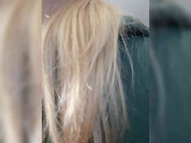 _LittleSammy webcam