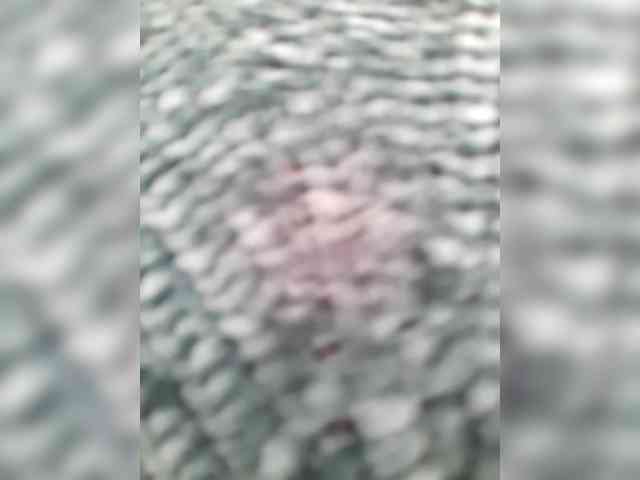 _LittleSammy webcam