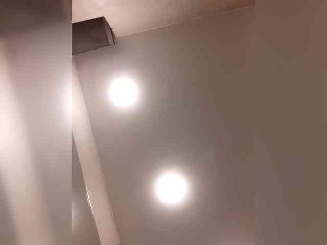 _LittleSammy webcam