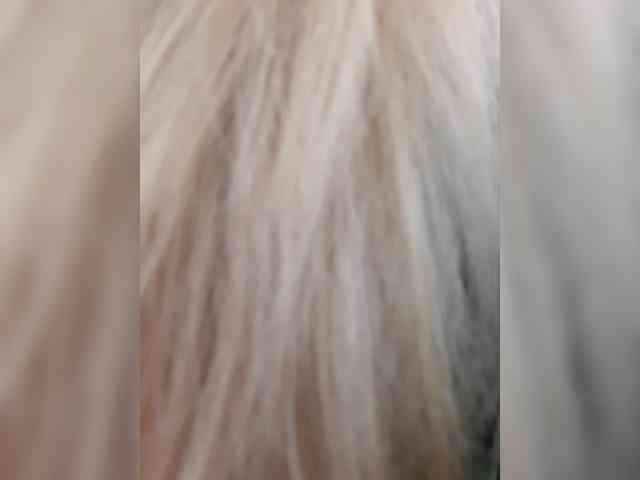 _LittleSammy webcam