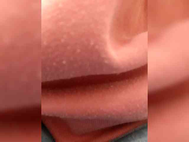 _LittleSammy webcam