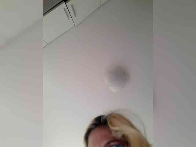 _LittleSammy webcam