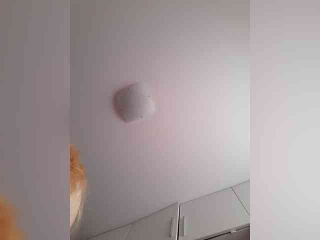 _LittleSammy webcam