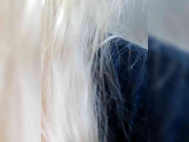 _LittleSammy