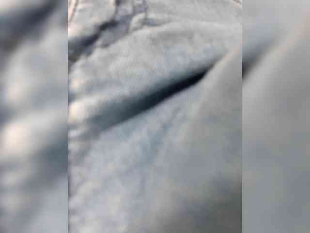 _LittleSammy webcam
