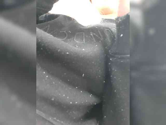 _LittleSammy