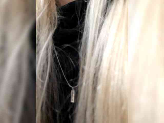 _LittleSammy webcam