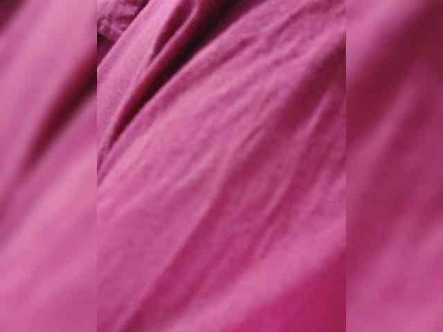 _LittleSammy webcam