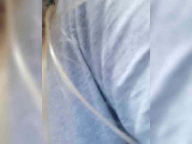 Modelo: _LittleSammy