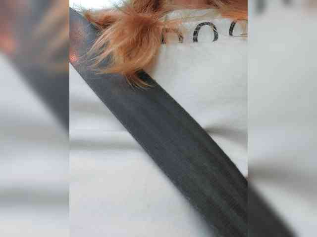 _LittleSammy webcam