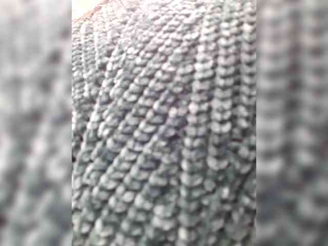 _LittleSammy webcam