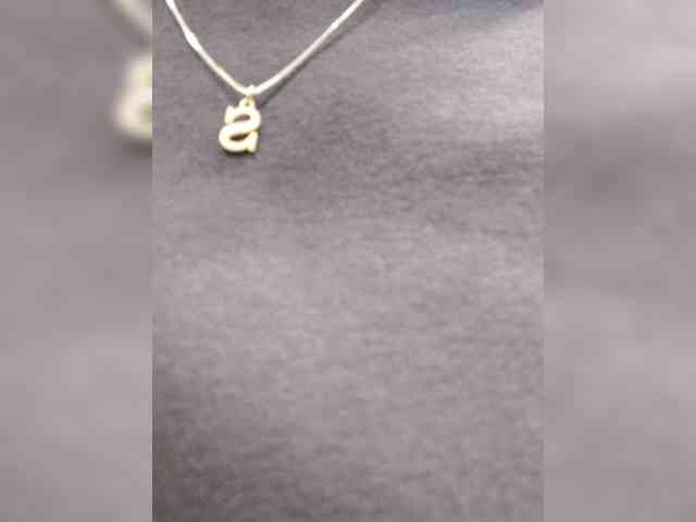 _LittleSammy webcam