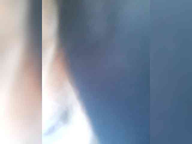 _LittleSammy webcam