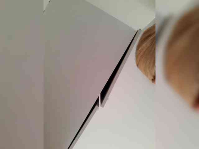 _LittleSammy webcam