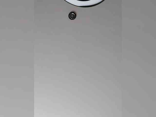 _LittleSammy webcam