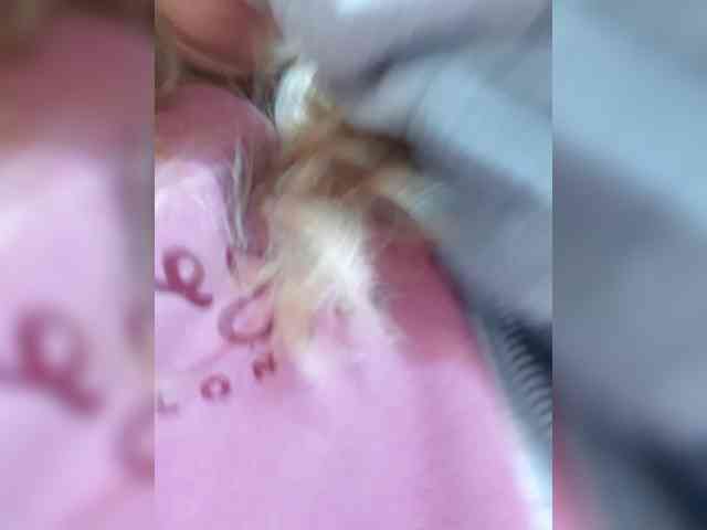 _LittleSammy