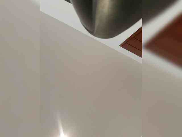 _LittleSammy webcam